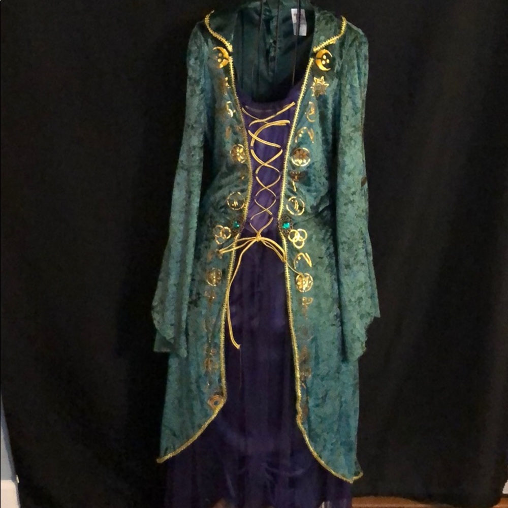 Winifred Sanderson (Hocus Pocus) costume